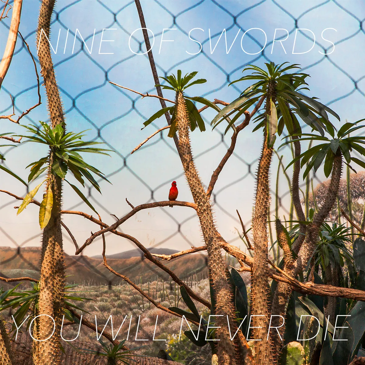 The Top 20 (Week of 2/13/17)