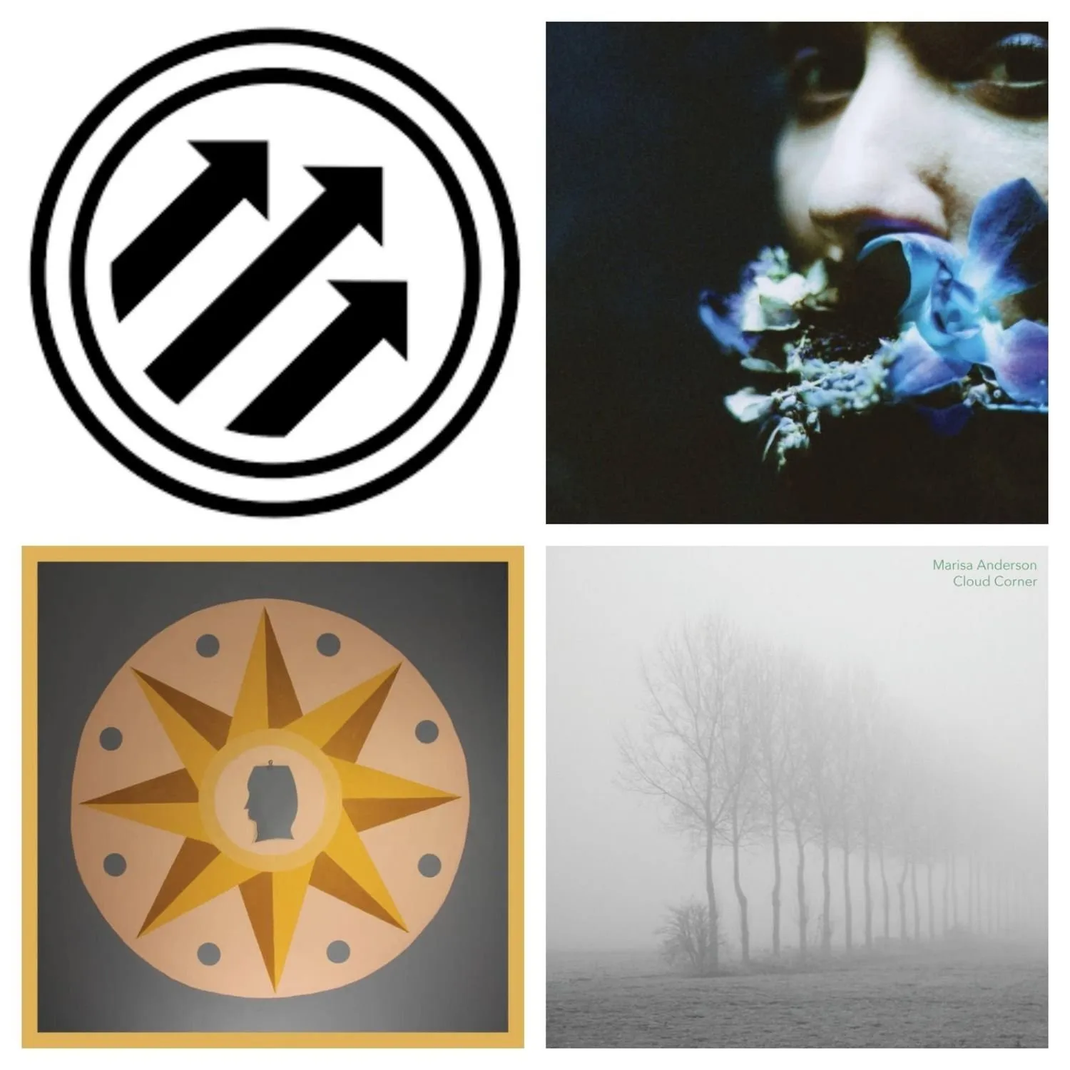 Pitchfork Midwinter Preview